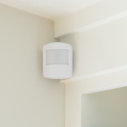 Richmond motion sensor